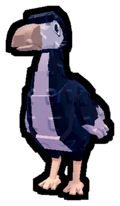 Dodo pet