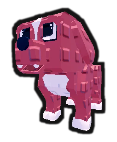 Dog pet appearance