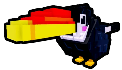 Toucan pet