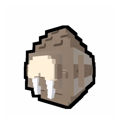 Walrus egg appearance